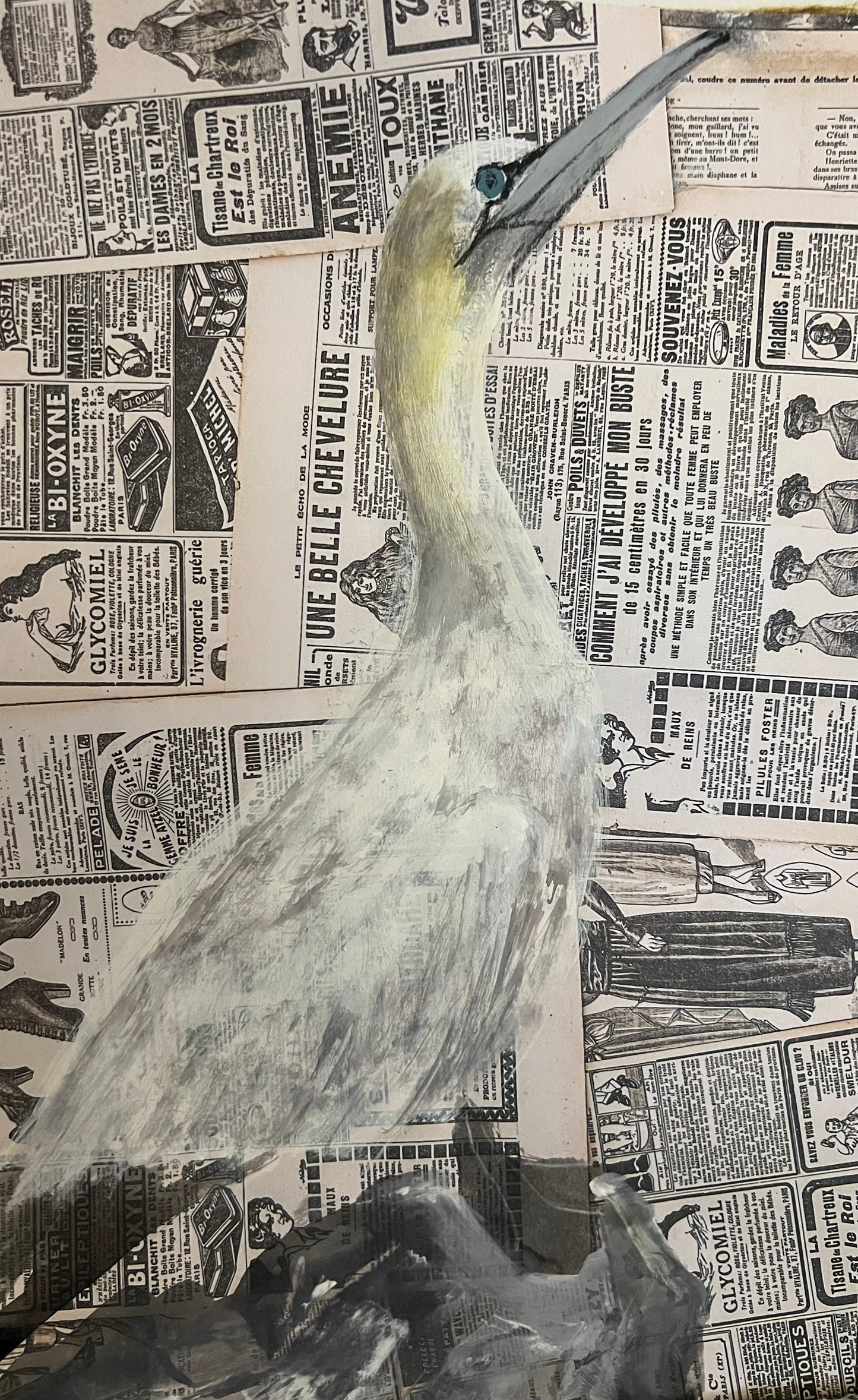 Original painting Gannet framed