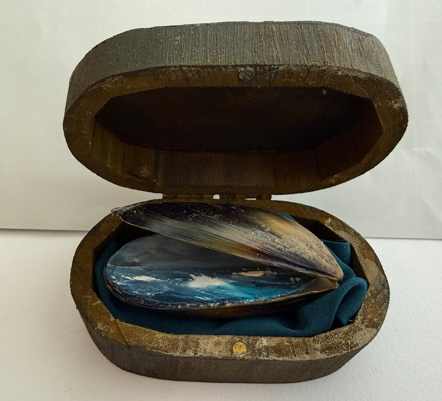 Mussel shell with original painting by Sarah evans