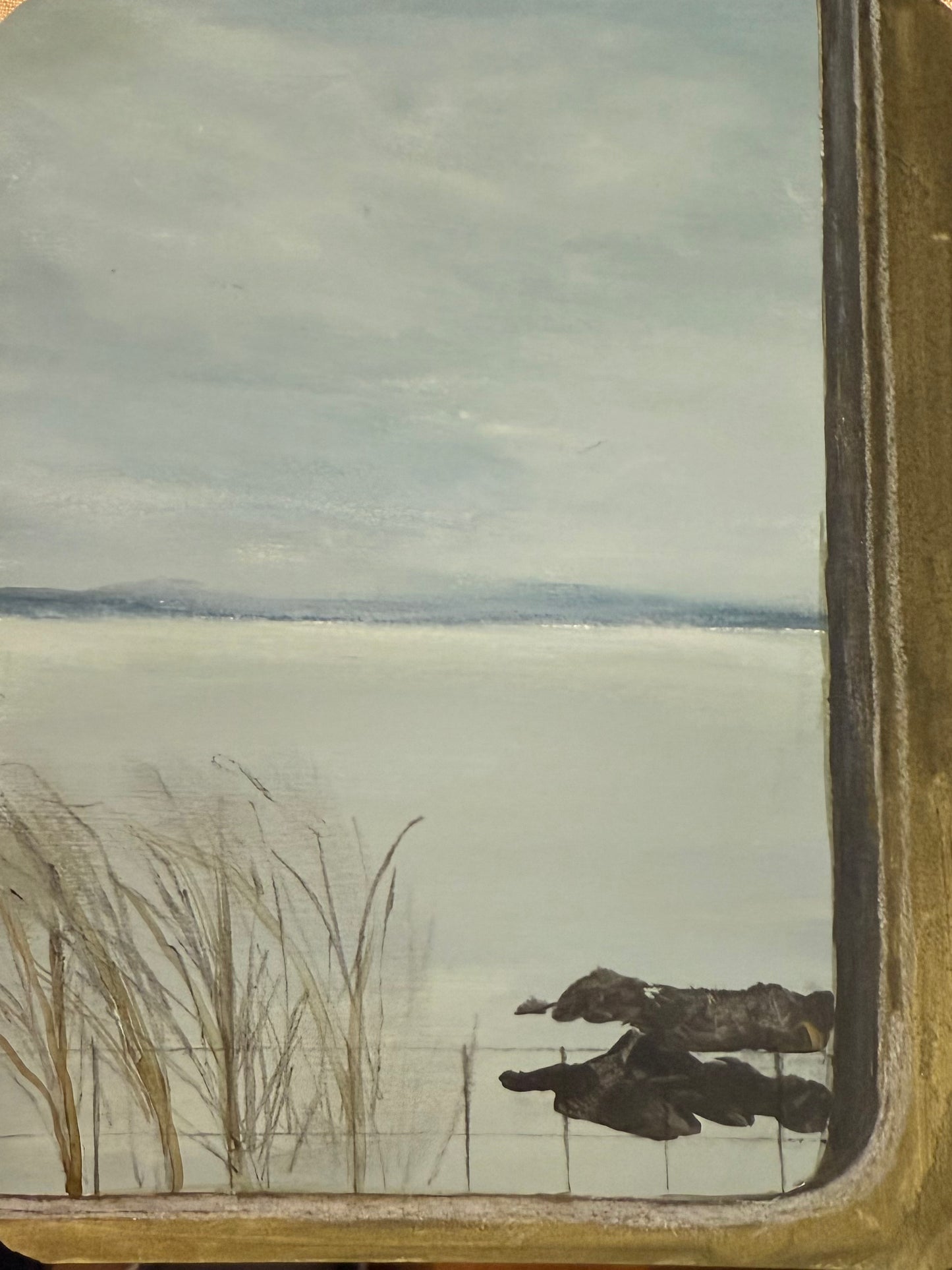 View from the train to Aberdeen