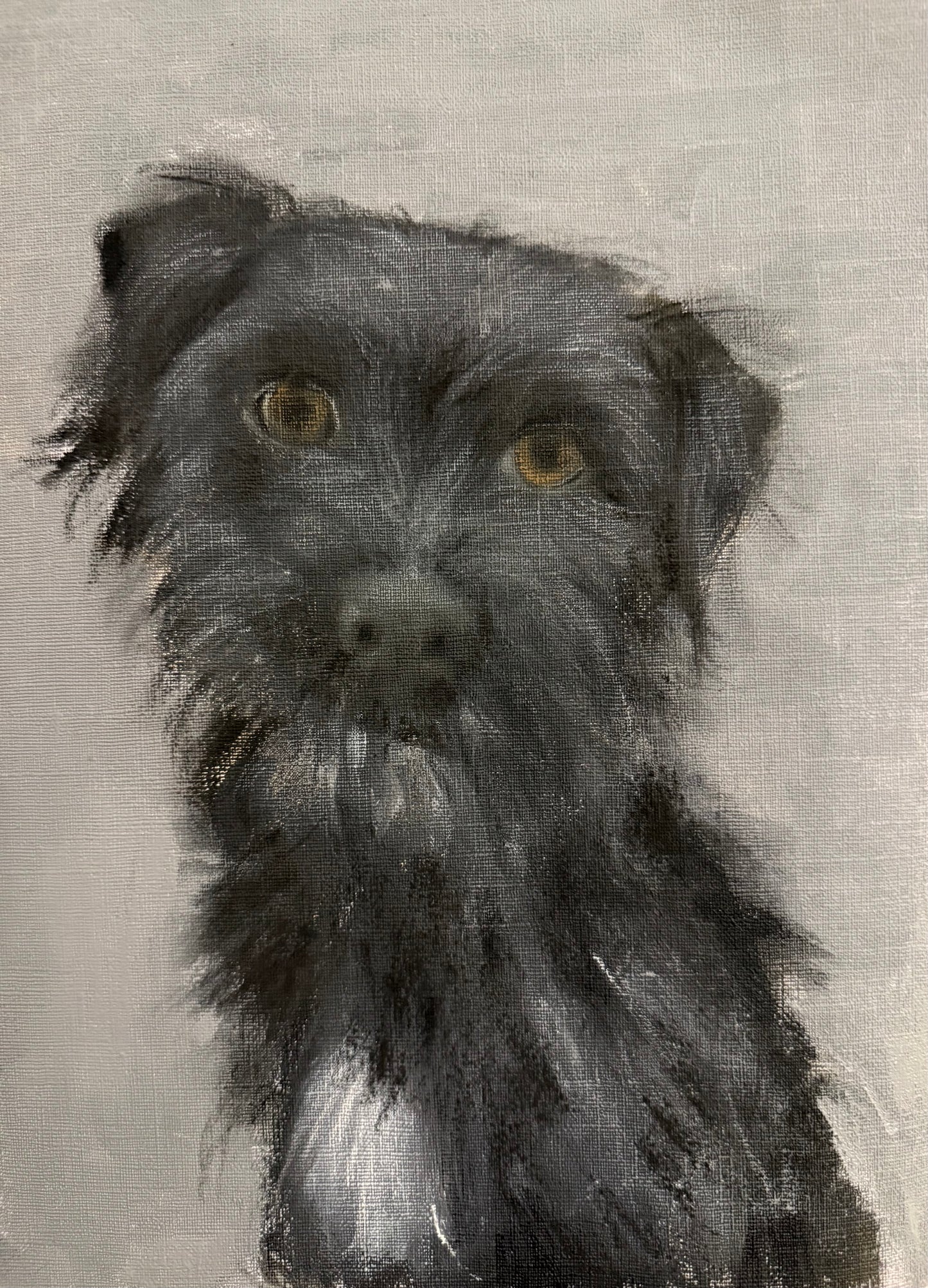 Rex original painting oil on canvas framed