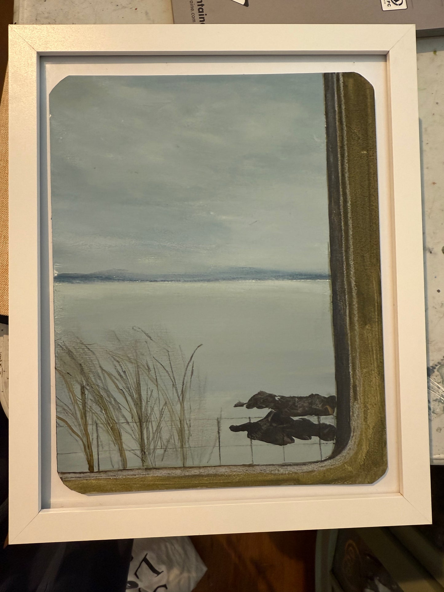 View from the train to Aberdeen