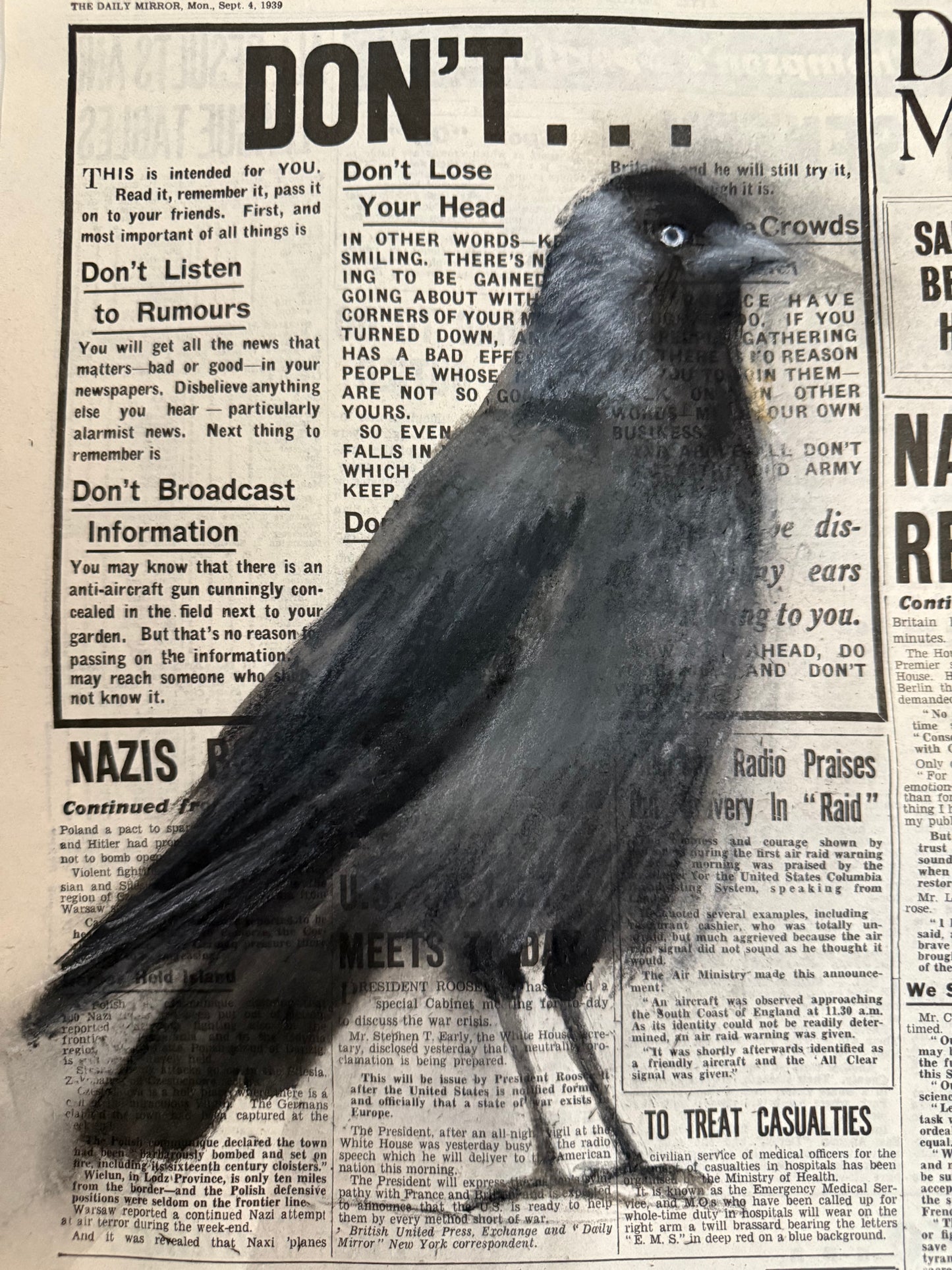 Original painting The Jackdaw by Sarah Evans framed