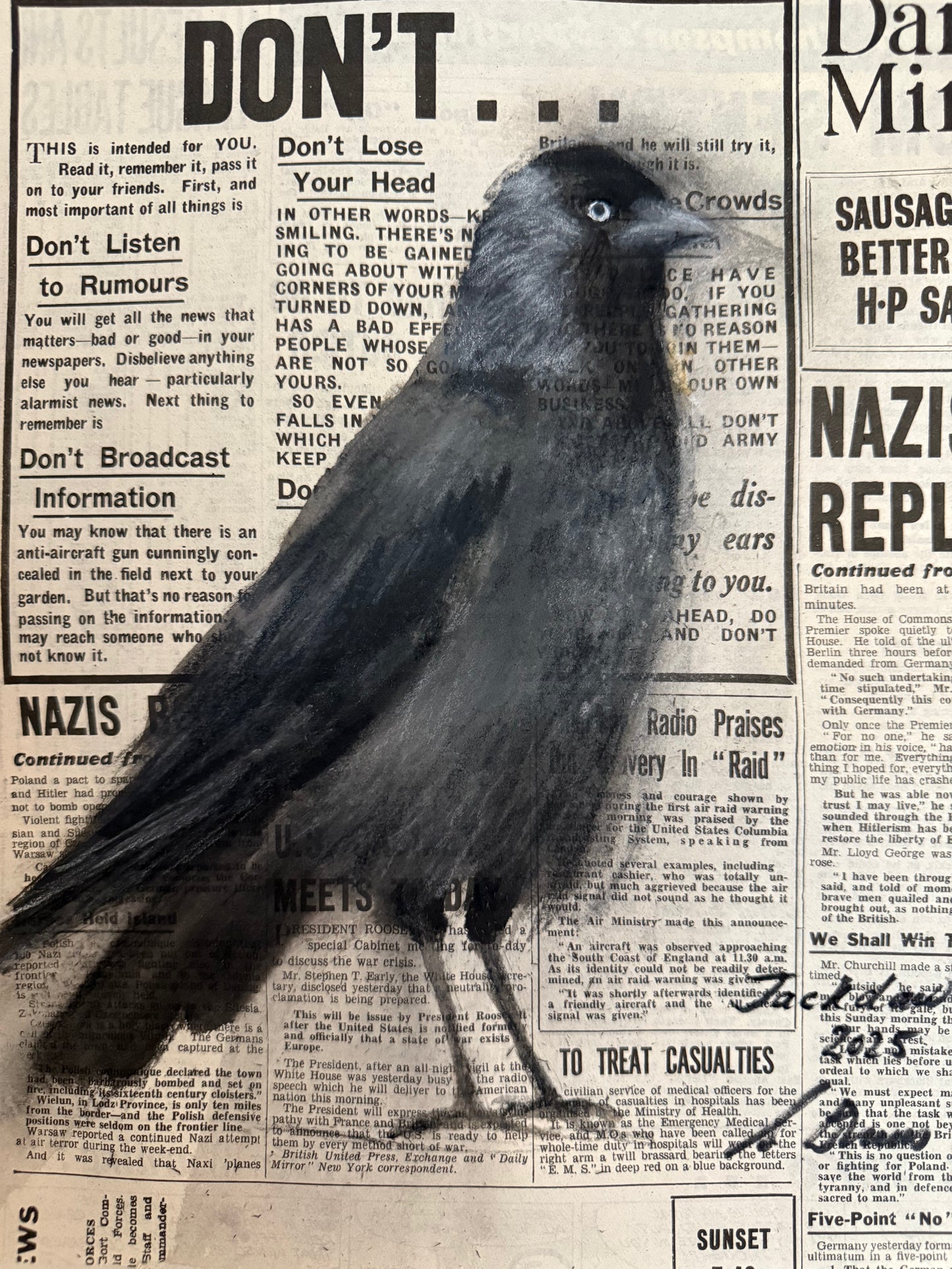 Original painting The Jackdaw by Sarah Evans framed