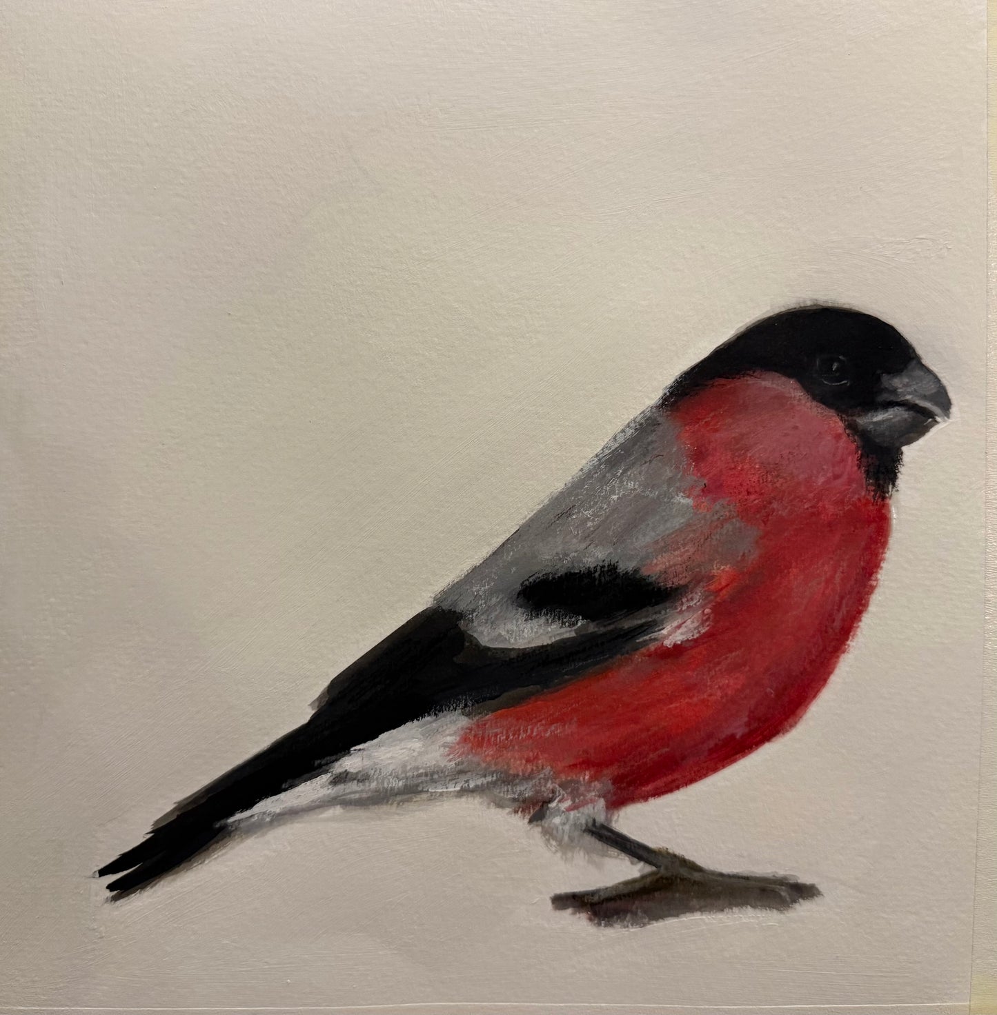 Bullfinch original painting framed