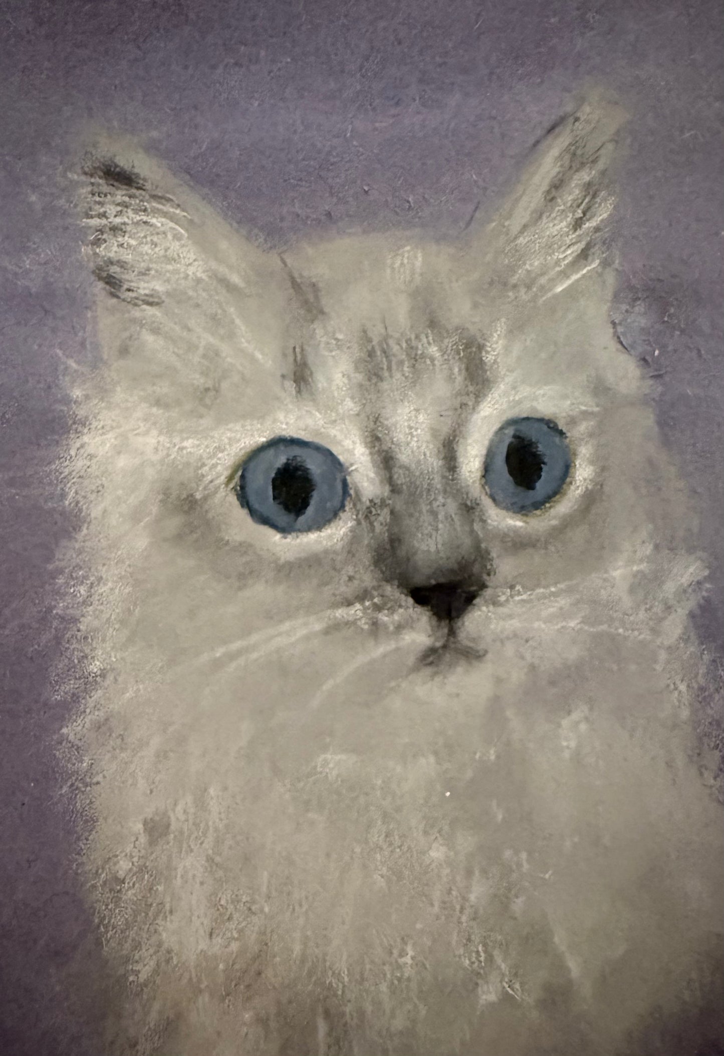 Signed framed Print of Sissy Evans official first portrait