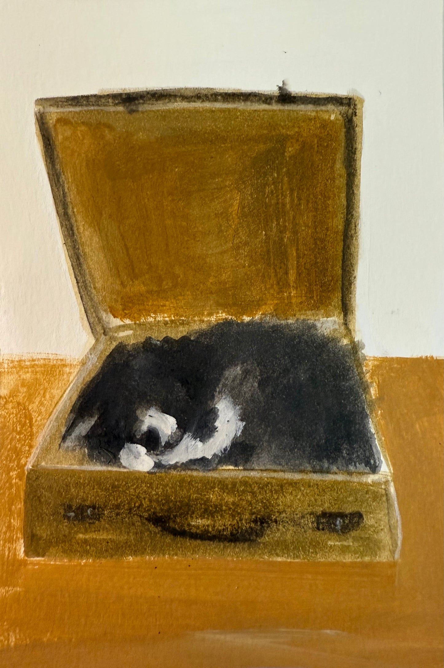 Flash Evans asleep in an evacuee’s suitcase