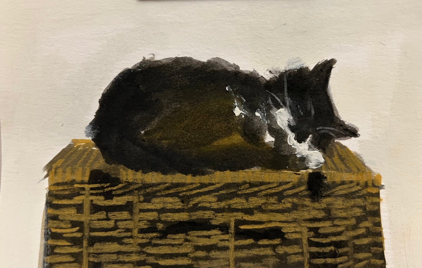 Flash asleep on a basket