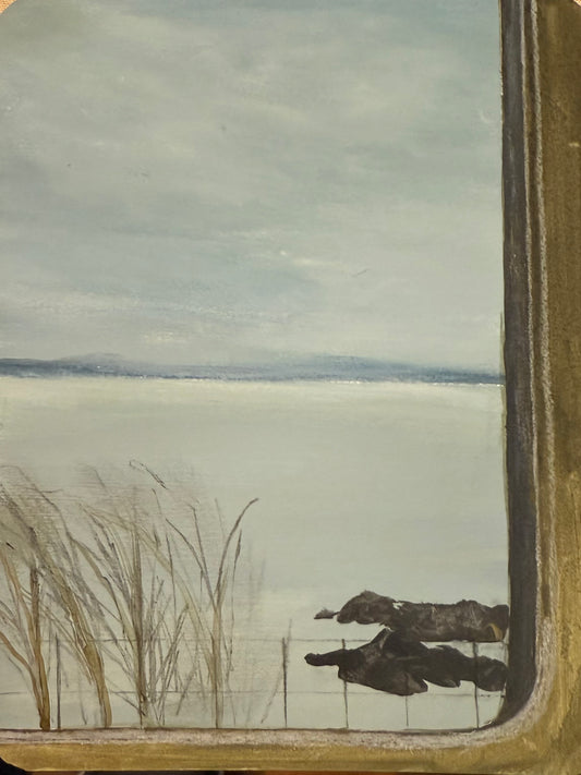 View from the train to Aberdeen