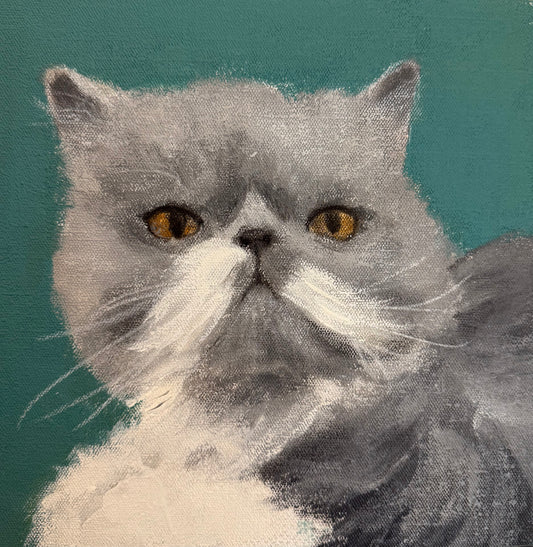 Lucy the rescue cat -oil on  canvas by Sarah evans