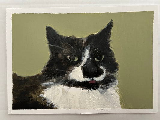 Cat portrait commission