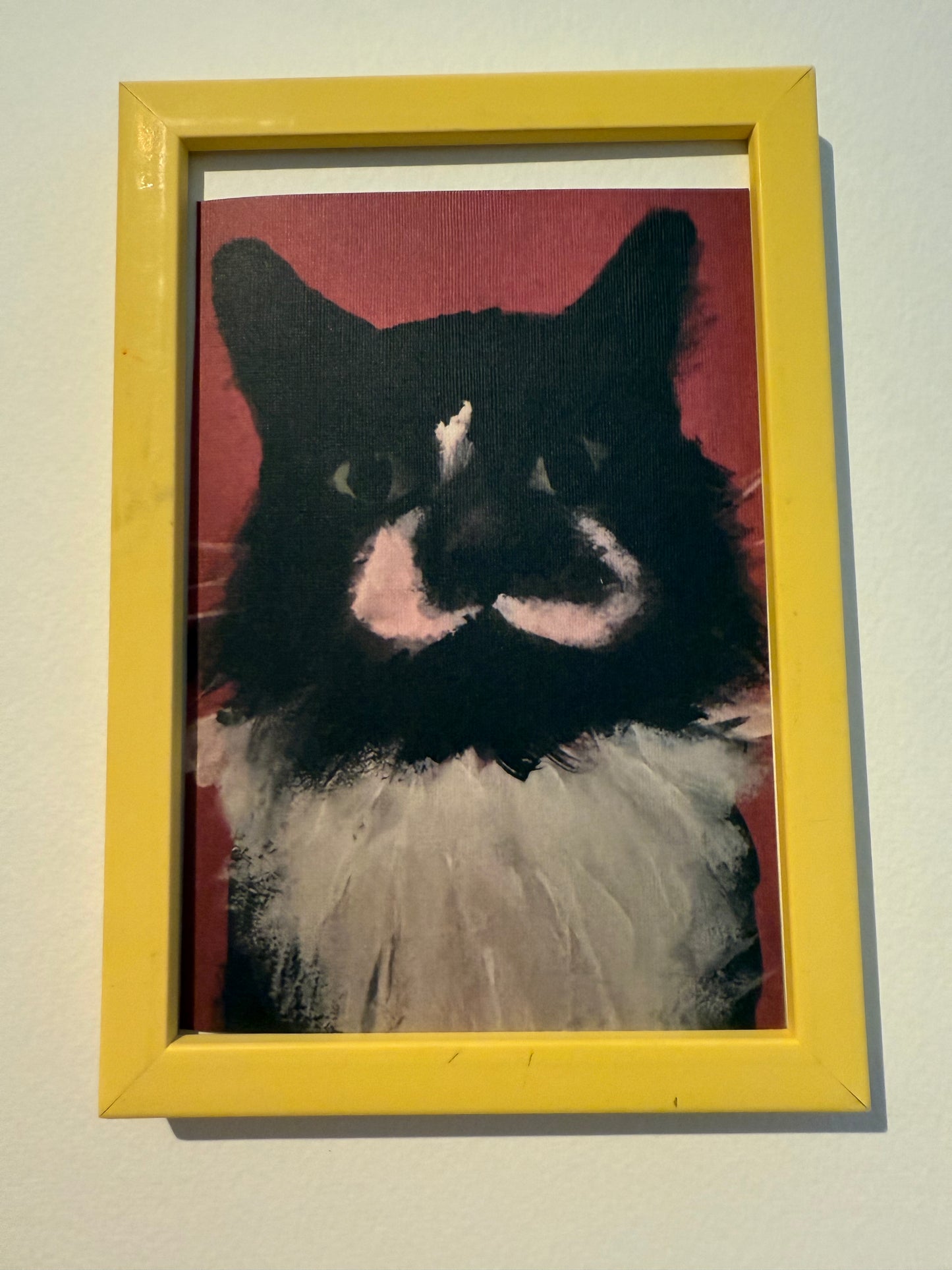In memory of Flash Evans signed print in yellow frame