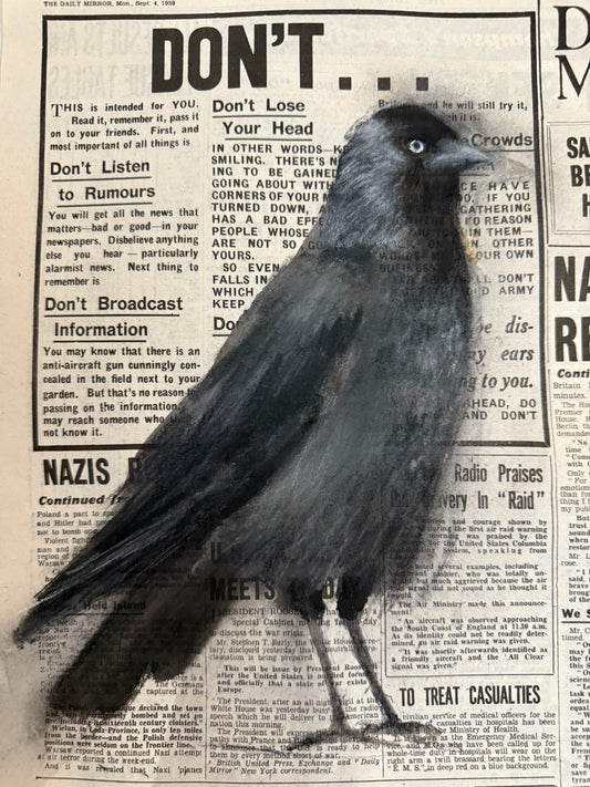 Original painting The Jackdaw by Sarah Evans framed