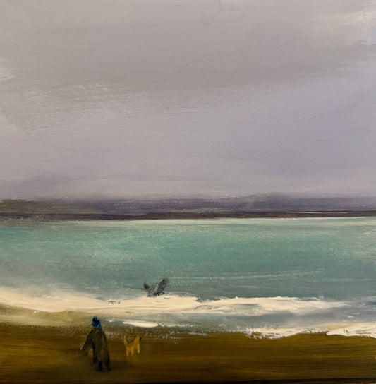 Alf chasing a seagull on southsea beach