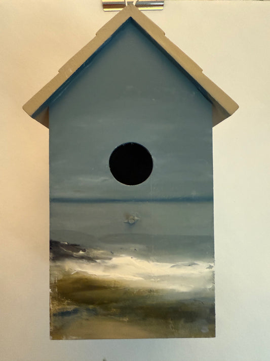 Hastings beach  bird box original painting Sarah evans