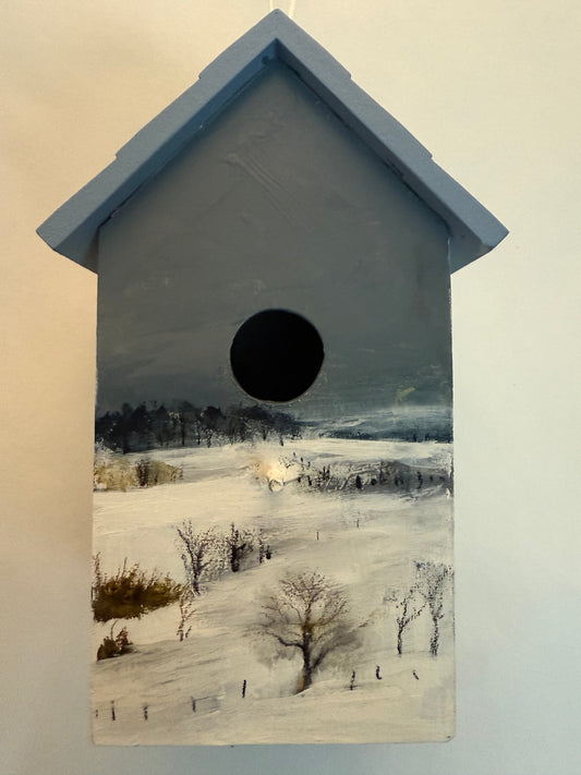 Winter bird box original painting Sarah evans