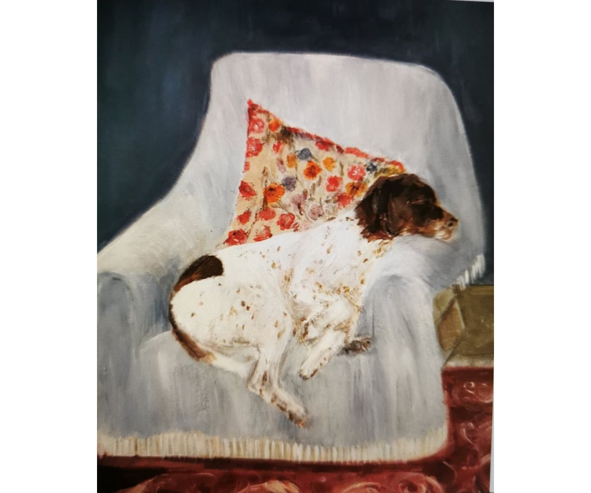 Spaniel - a white and brown spaniel relaxes on an armchair with a colourful cushion
